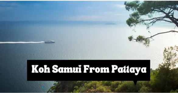 How To Get To Koh Samui From Pattaya