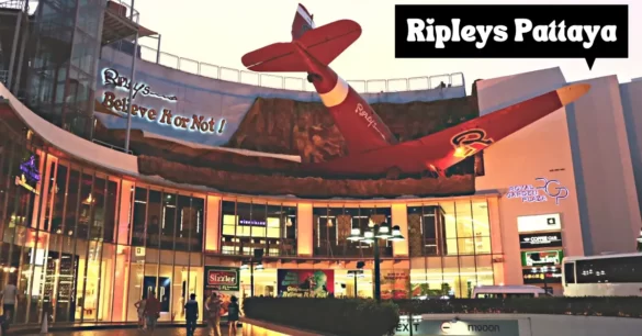 What Is Ripleys Believe It Or Not Pattaya