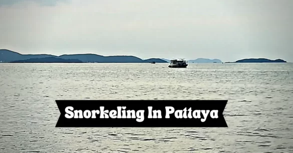 Is There Anywhere To Go Snorkeling In Pattaya